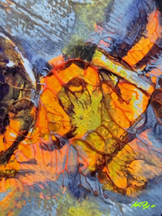 Click to view in high resolution Fiery Orange and Grey Organic Abstract