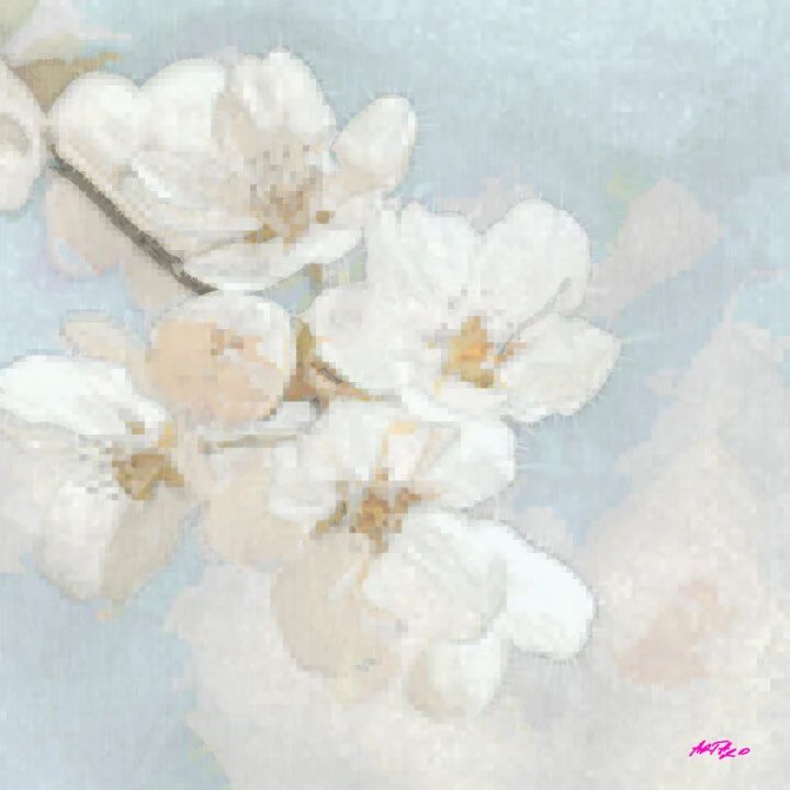 Click to view in high resolution Delicate White Blossoms Digital Art
