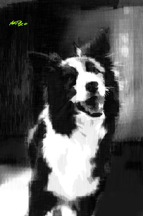 Click to view in high resolution Dynamic Black and White Dog Portrait