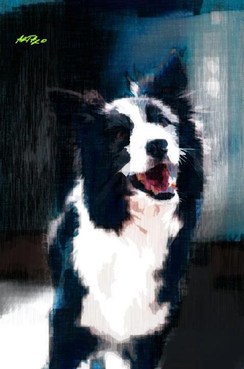 Click to view in high resolution Energetic Black and White Dog Motion Art