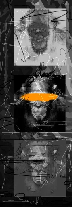 Click to view in high resolution Black and Orange Primate Digital Art