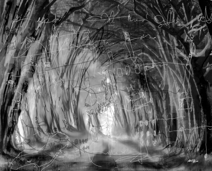 Click to view in high resolution Monochrome Mystique in Dense Forest