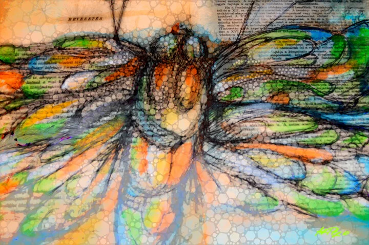 Click to view in high resolution Ochre and Cerulean Butterfly with Text