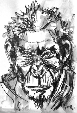 A striking ink sketch showcasing raw emotion Expressive Gorilla Portrait